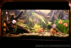 Acvariu 180l