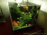 Nano 15L