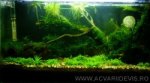 nano 15 litri