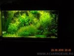 Juwel Rio 125(Ssilviuu