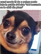 emil_in