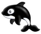 KillerWhale