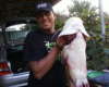 sleo
