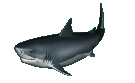 sorinnico
