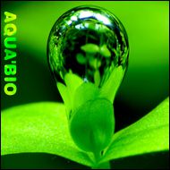 AQUA'BIO