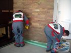 uploads/2011_01/20110117103621_2.jpg
