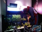 uploads/2011_01/20110117104320_2.jpg