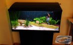 uploads/2011_01/20110126104944_2.jpg