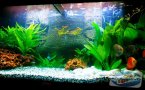 uploads/2011_01/20110126105026_2.jpg