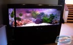 uploads/2011_01/20110126105125_2.jpg