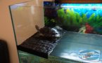 uploads/2011_01/20110126110129_2.jpg