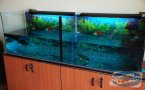 uploads/2011_01/20110126110145_2.jpg