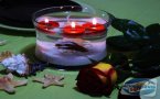 uploads/2011_02/20110217112502_2.jpg