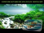 concurs-acvarii-de-apa-dulce-editia-xiv